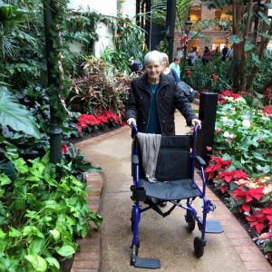 mom pushing wheelchair