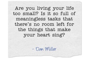 dan miller quote