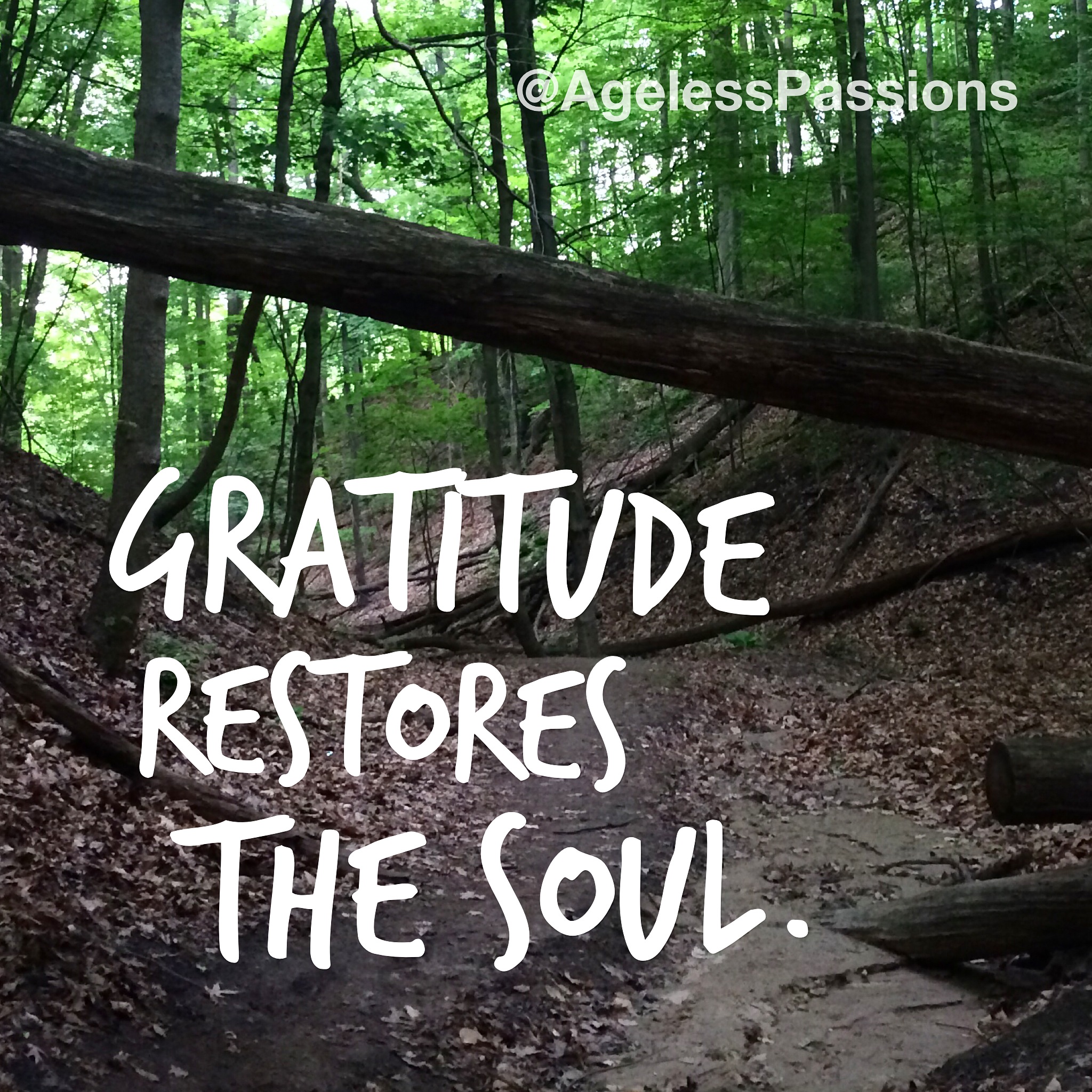 Reflections of Gratitude